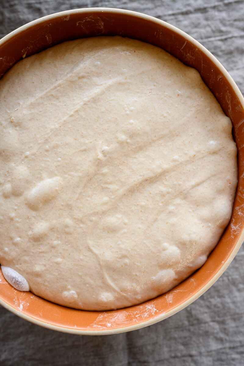 Ferment Sourdough Properly