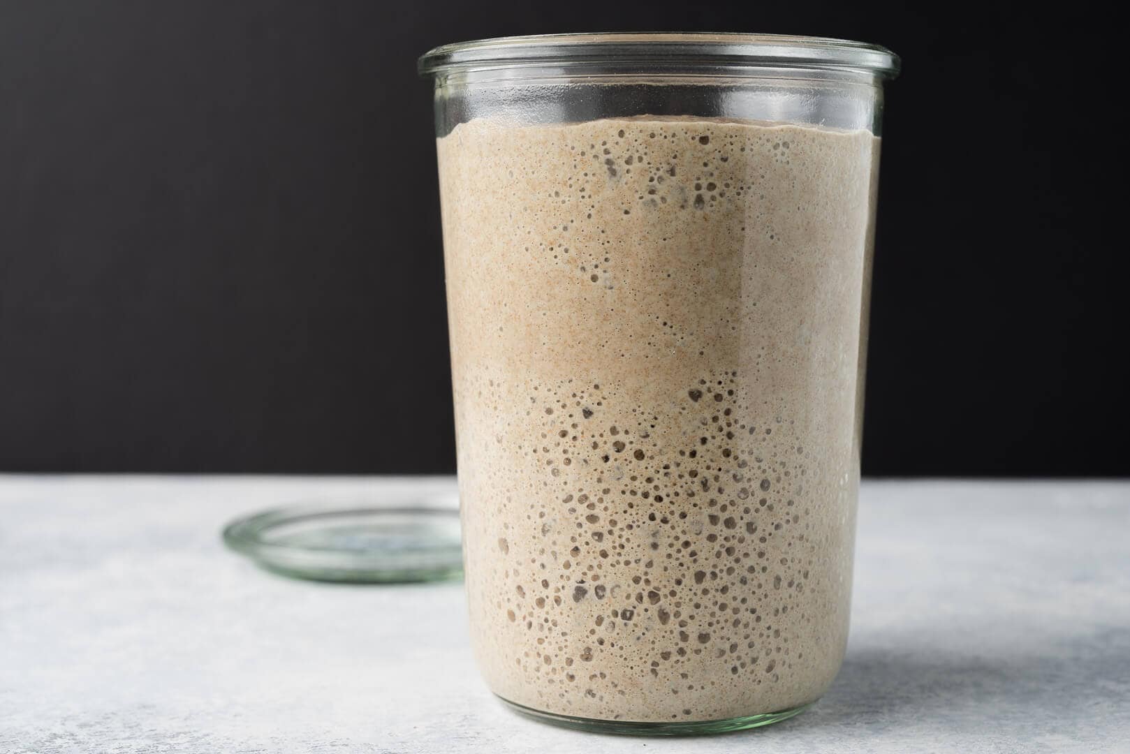 Starter Sourdough Ferment