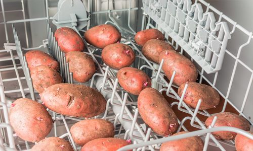 Putting Potatoes In A Dishwasher For Cleaning 