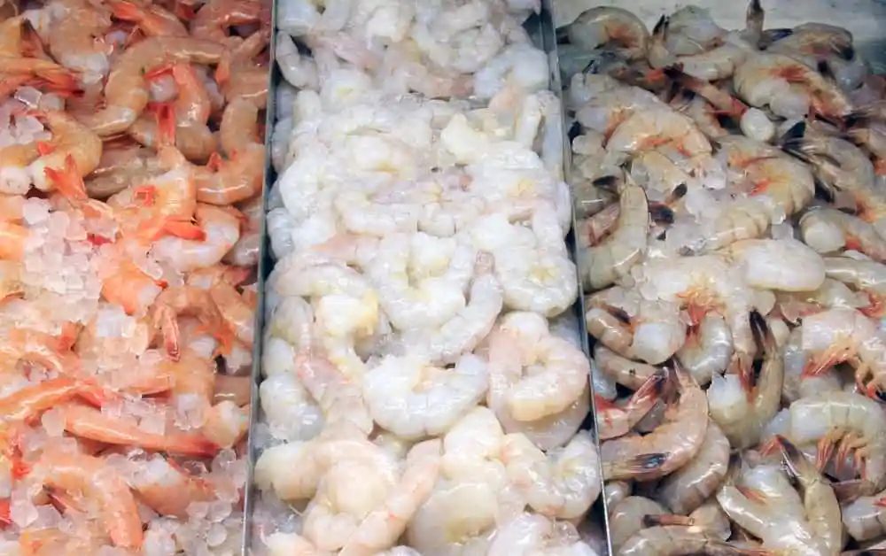 How to Freeze Cooked Shrimp